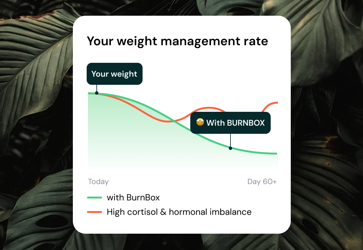 BurnBox - fasting kit – Burnbox